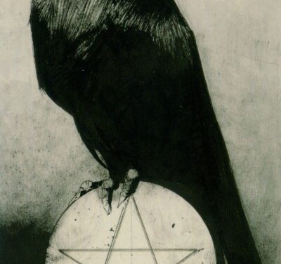 The Ace of Pentacles – A Deep Dive into the Murder of Crows Tarot