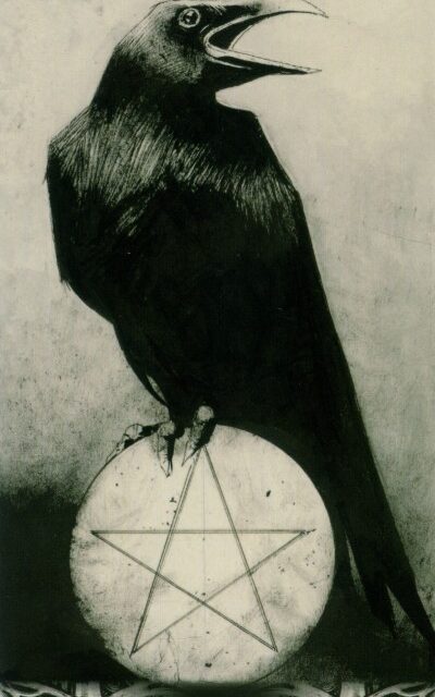 The Ace of Pentacles – A Deep Dive into the Murder of Crows Tarot