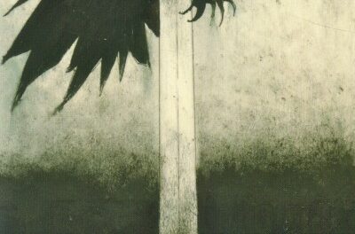 The Ace of Swords – A Deep Dive into the Murder of Crows Tarot